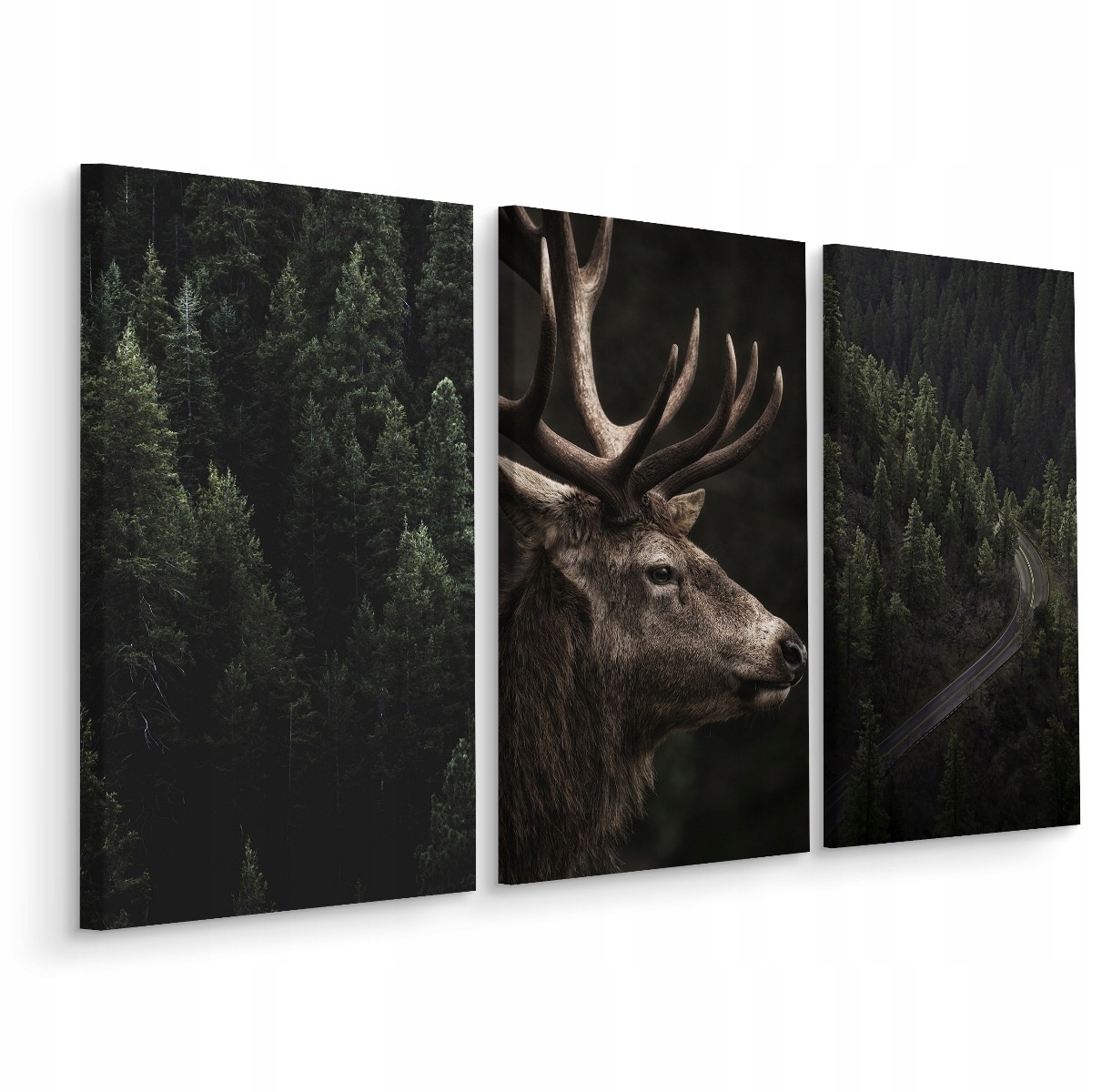 

Obraz 3 Częściowy Drzewa Jeleń Pejzaż 3D 120x80