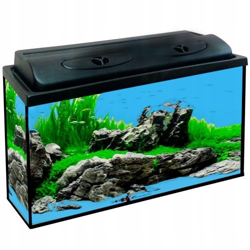 Akwarium 80x35x40 112L Prosty Led Dzień Noc Pełne Wyposażenie Gratisy