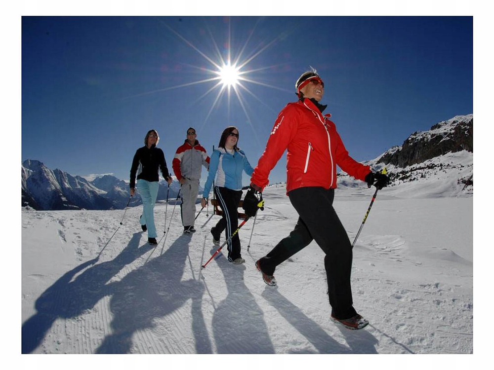 KIJKI NORDIC WALKING TREKINGOWE 2x KIJ + POKROWIEC Model 14006_N