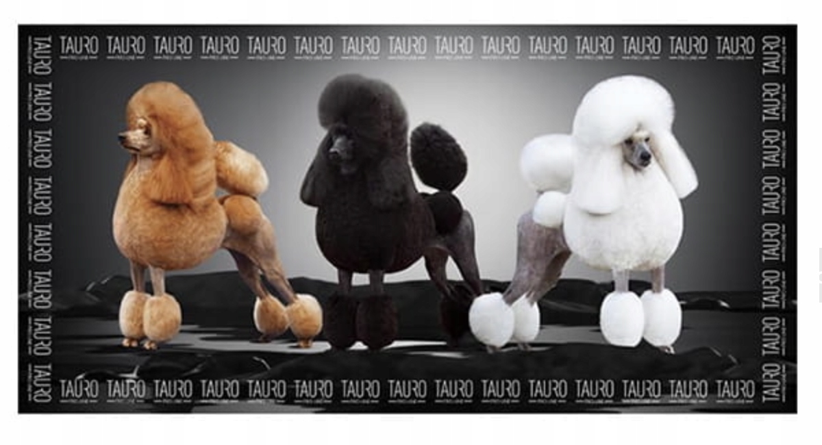 Levně Tauro Pro Line Ručník z mikrovlákna pro psy 80 x 160 cm, vzor: krabička