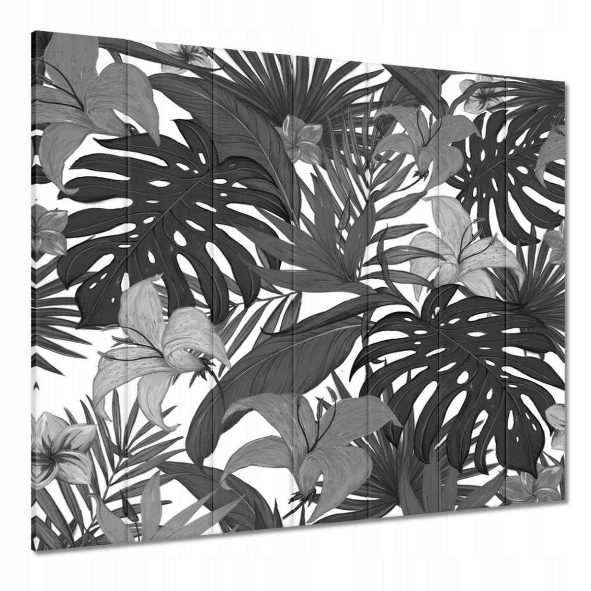 Obrazy 210x195 Czarnobiała monstera