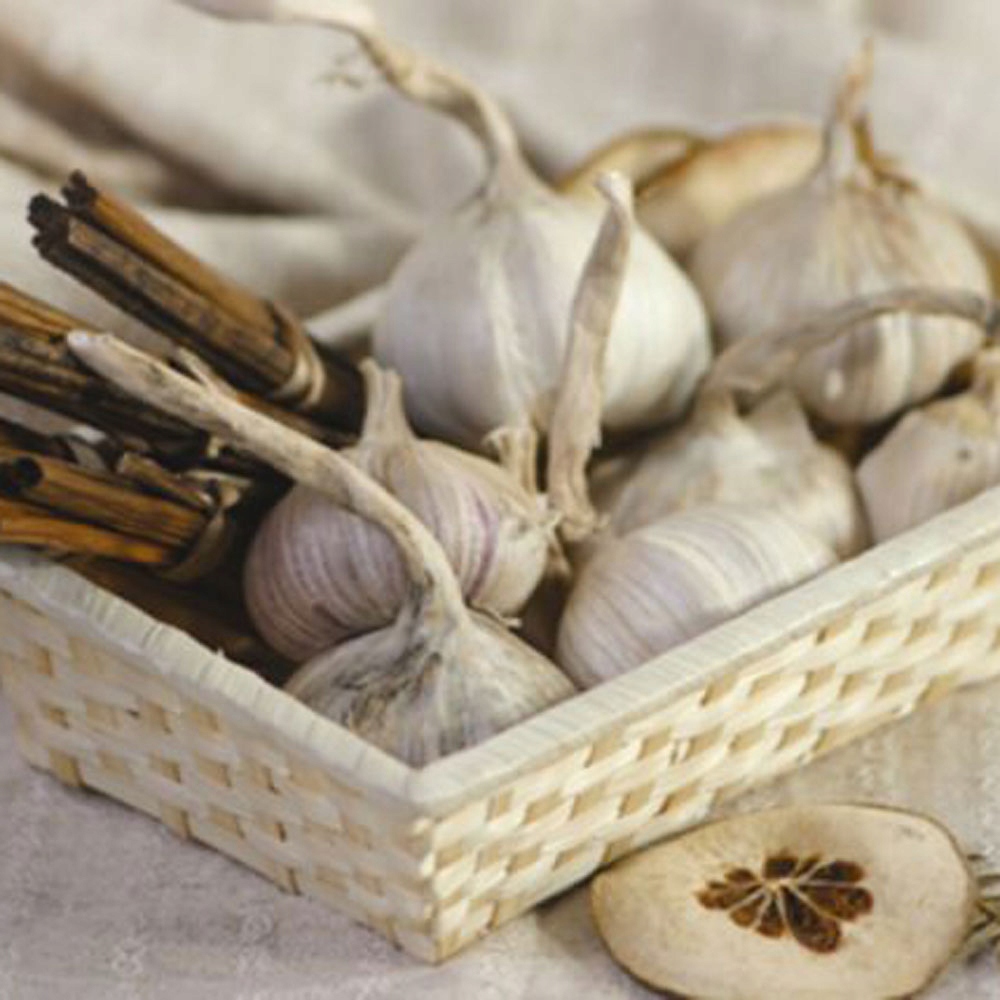 68051 DOMOTTI PALMA KOSZYK PIECZYWO CHLEB 28 CM Marka Domotti