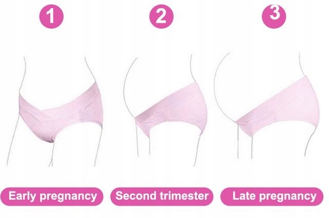 4szt KOMPLET Majtki ciążowe pod brzuch REGULO S/M Marka Inna marka