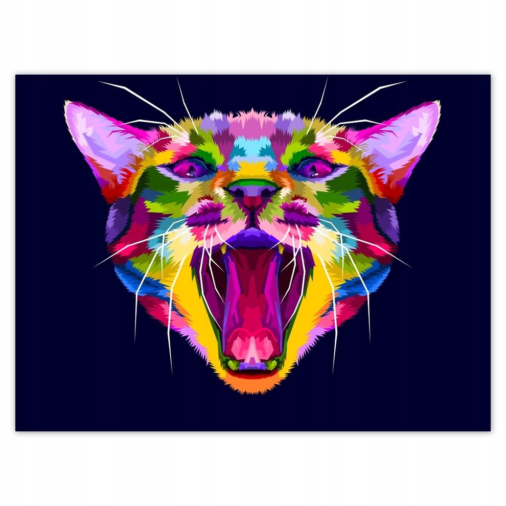 

Plakat 40x30 Kotek Kotki Koty Kicia