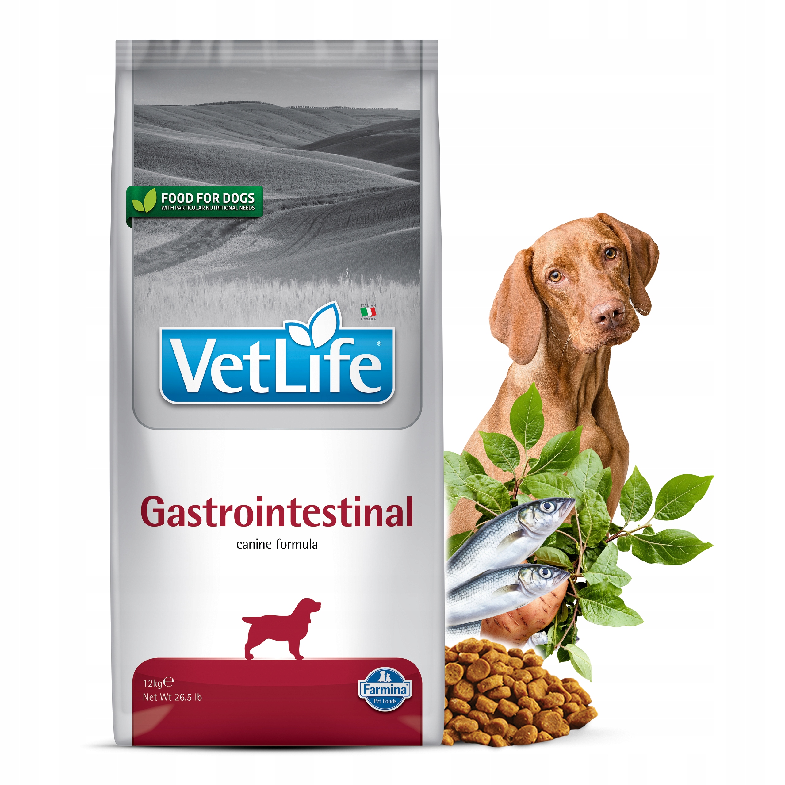 Farmina Vet Life Gastrointestinal 12kg na niewydolność układu pokarmowego