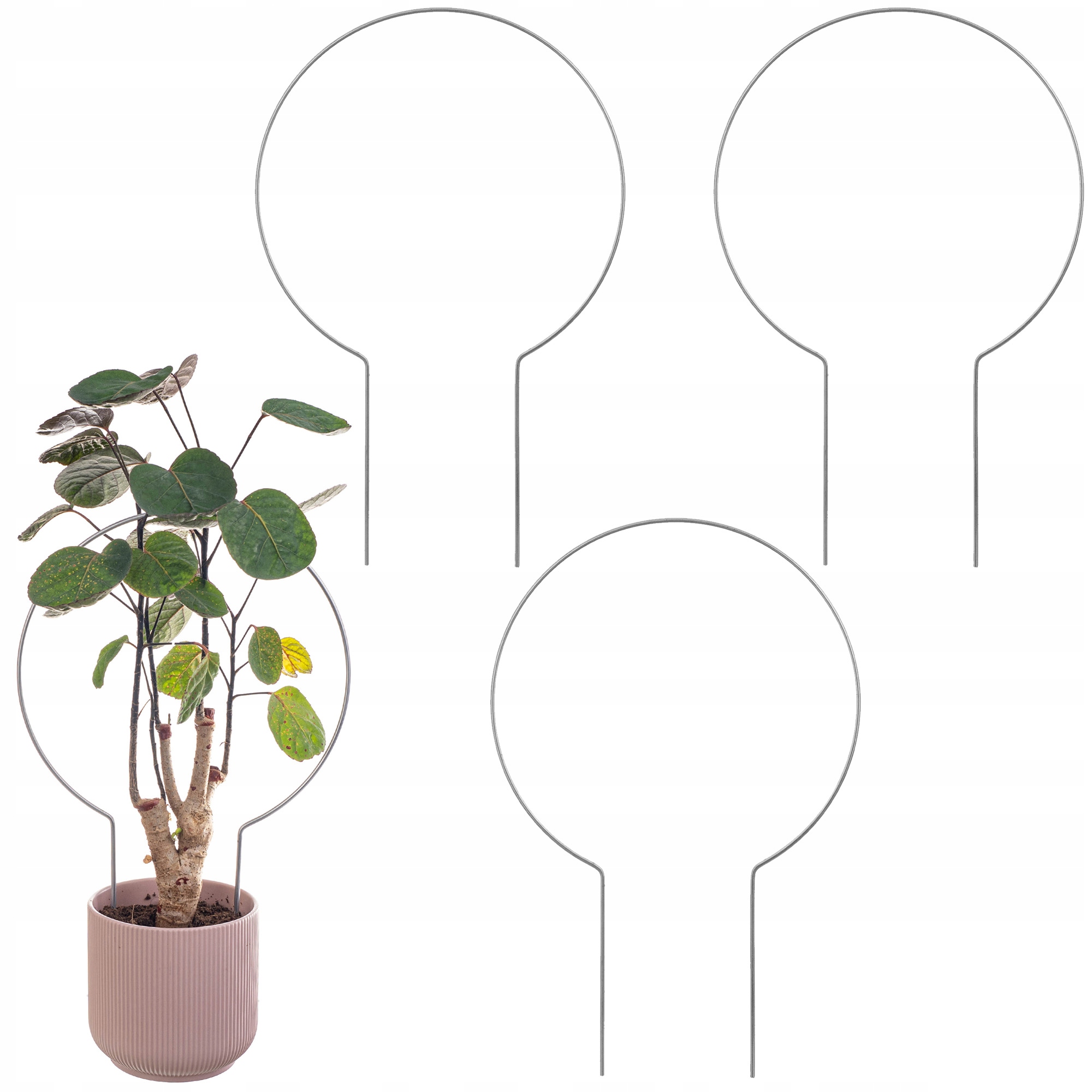 3x PODPORA DO ROŚLIN PODPÓRKA KWIATÓW DONICZKOWYCH METAL PODPÓRKI PÓŁKOLE