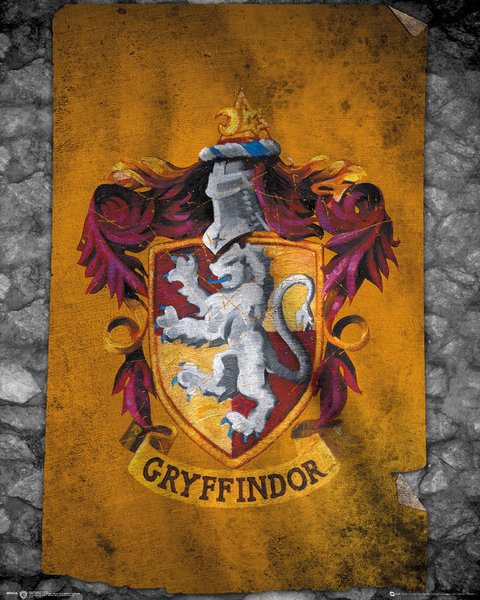 HARRY POTTER FLAGA plakat 40x50cm