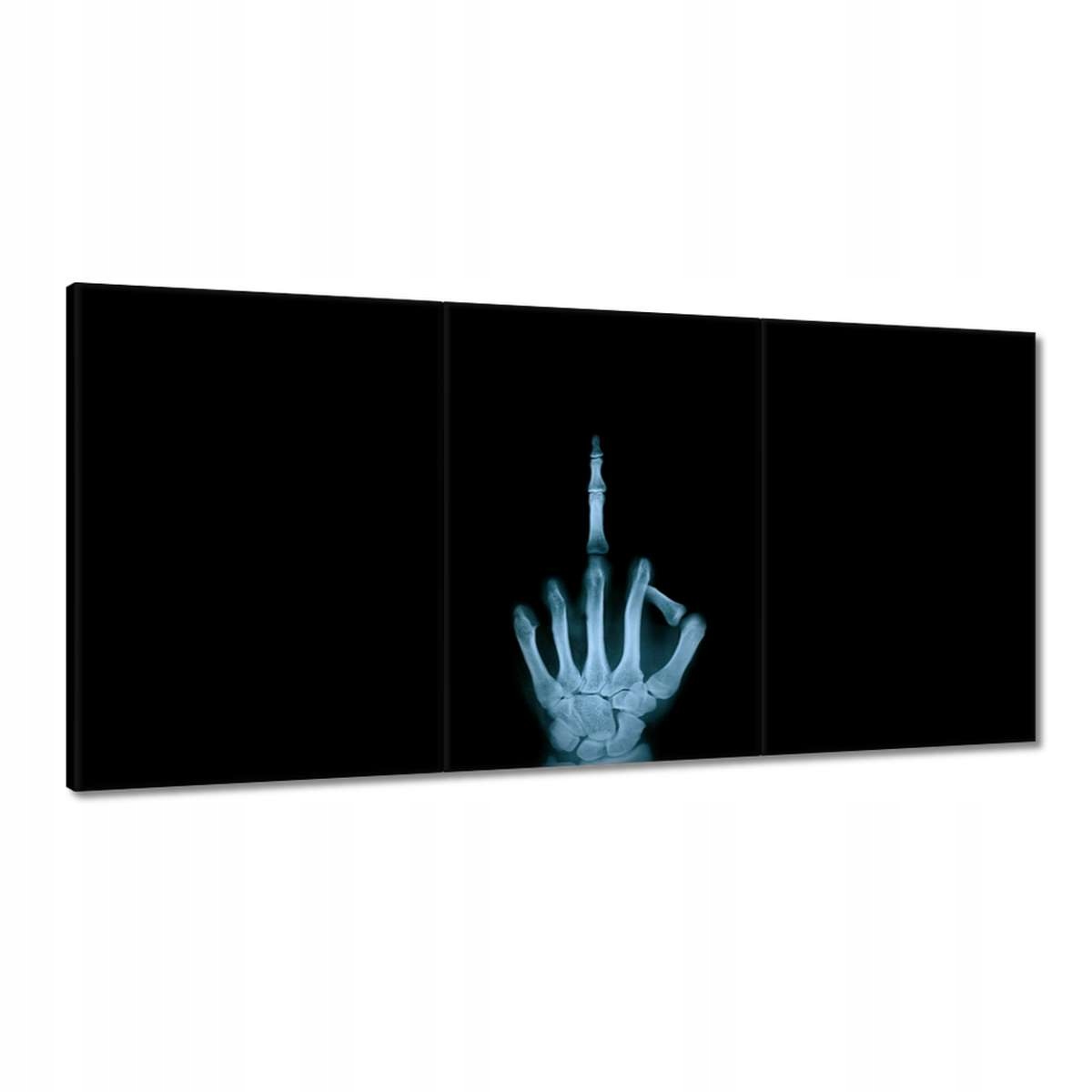 Obrazy 120x60 Fuck You Palec