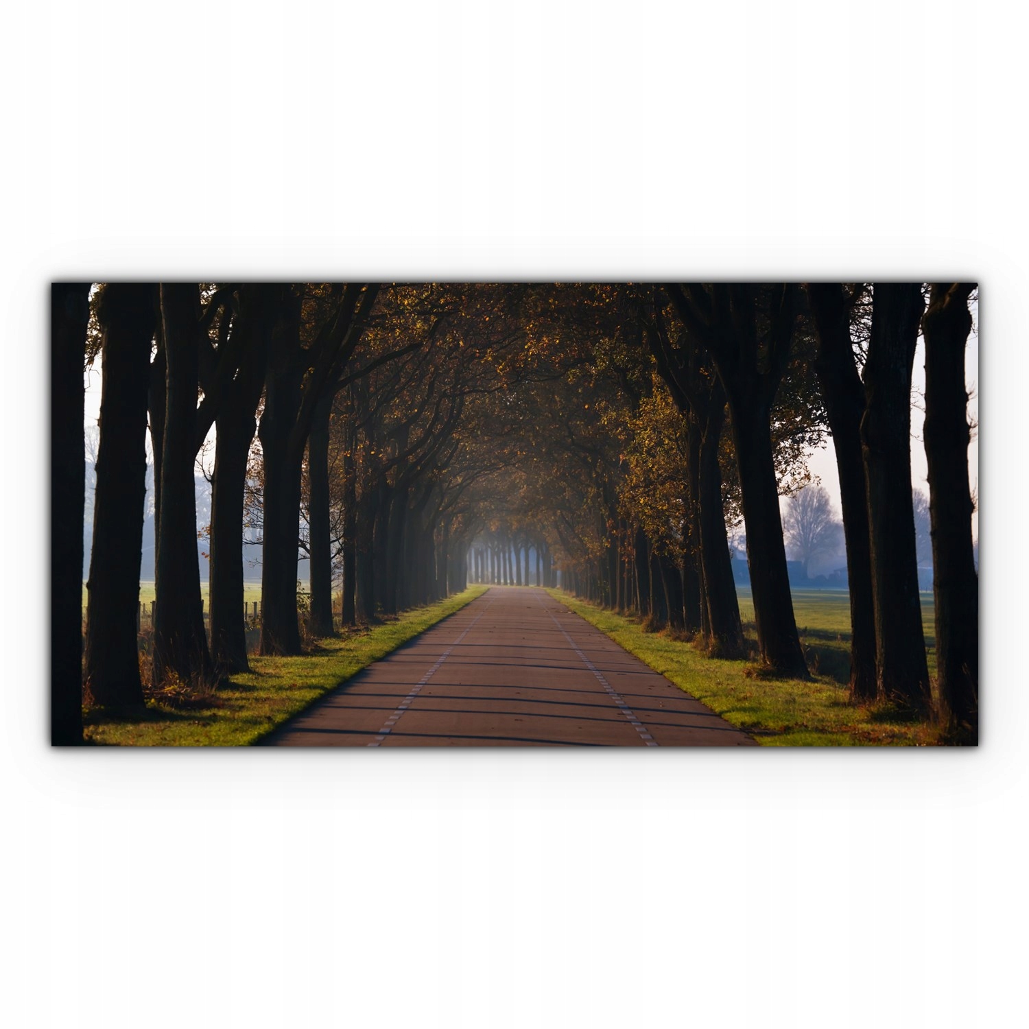 

Obraz canvas na ścianę 120x60 Tunel Droga Drzewa