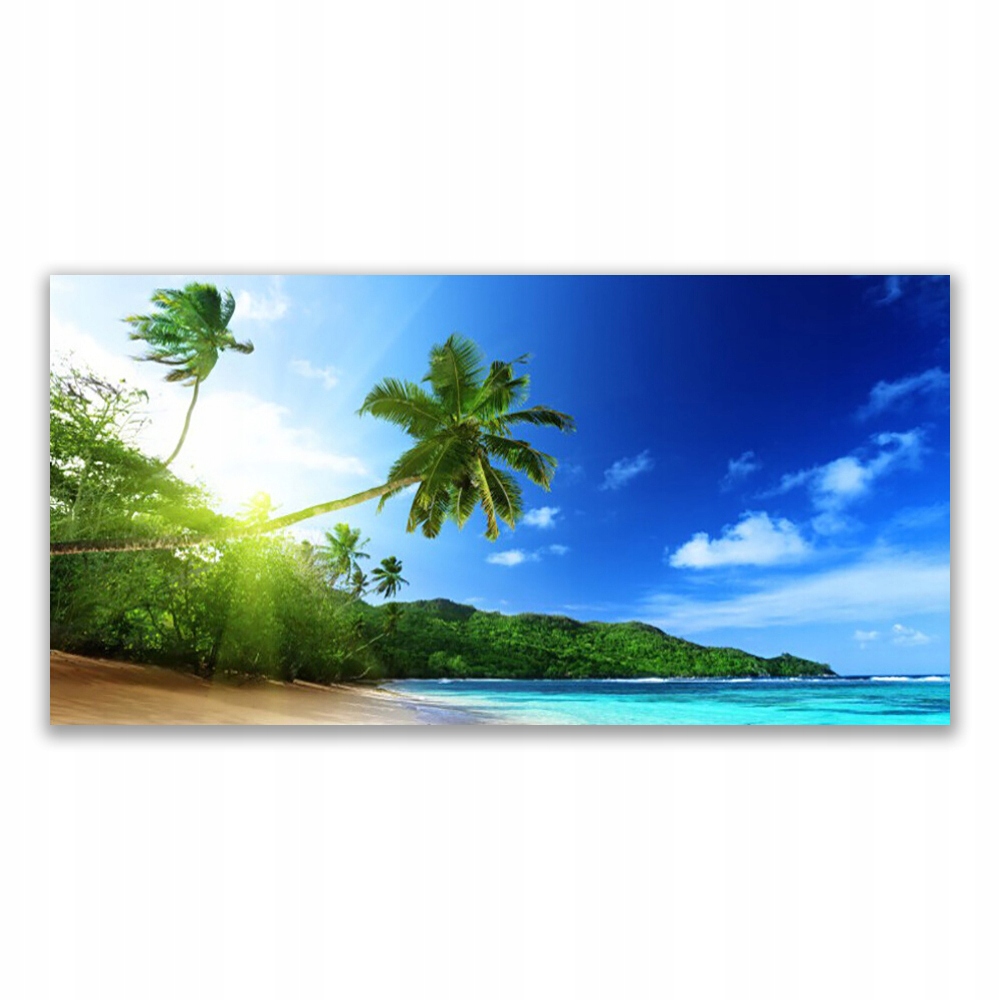 

Fotoobraz akryl 120x60 Plaża Morze Palma Krajobraz