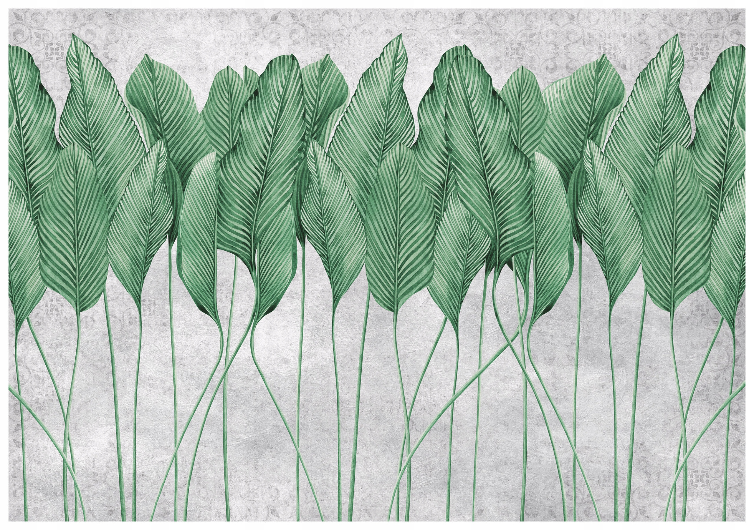 Fototapeta Zelené listy Botanika Elegancia do izby 312x219 lepidlo