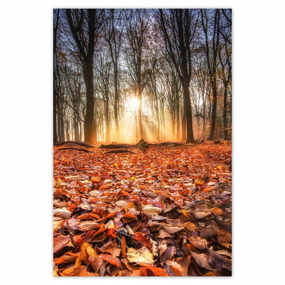 

Plakat 40x60 Jesienny widok Pejzaż