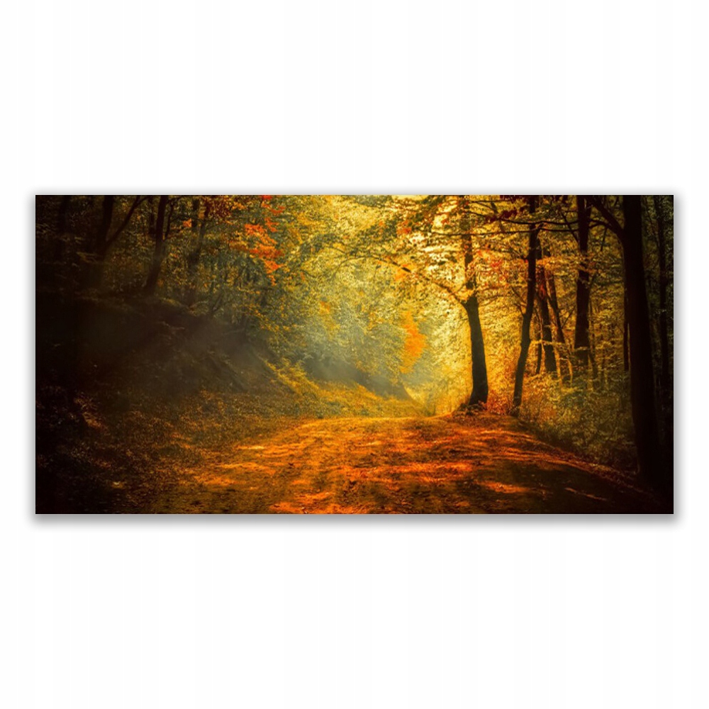 

Obraz z grafiką 120x60 Las Dróżka Drzewa Przyroda