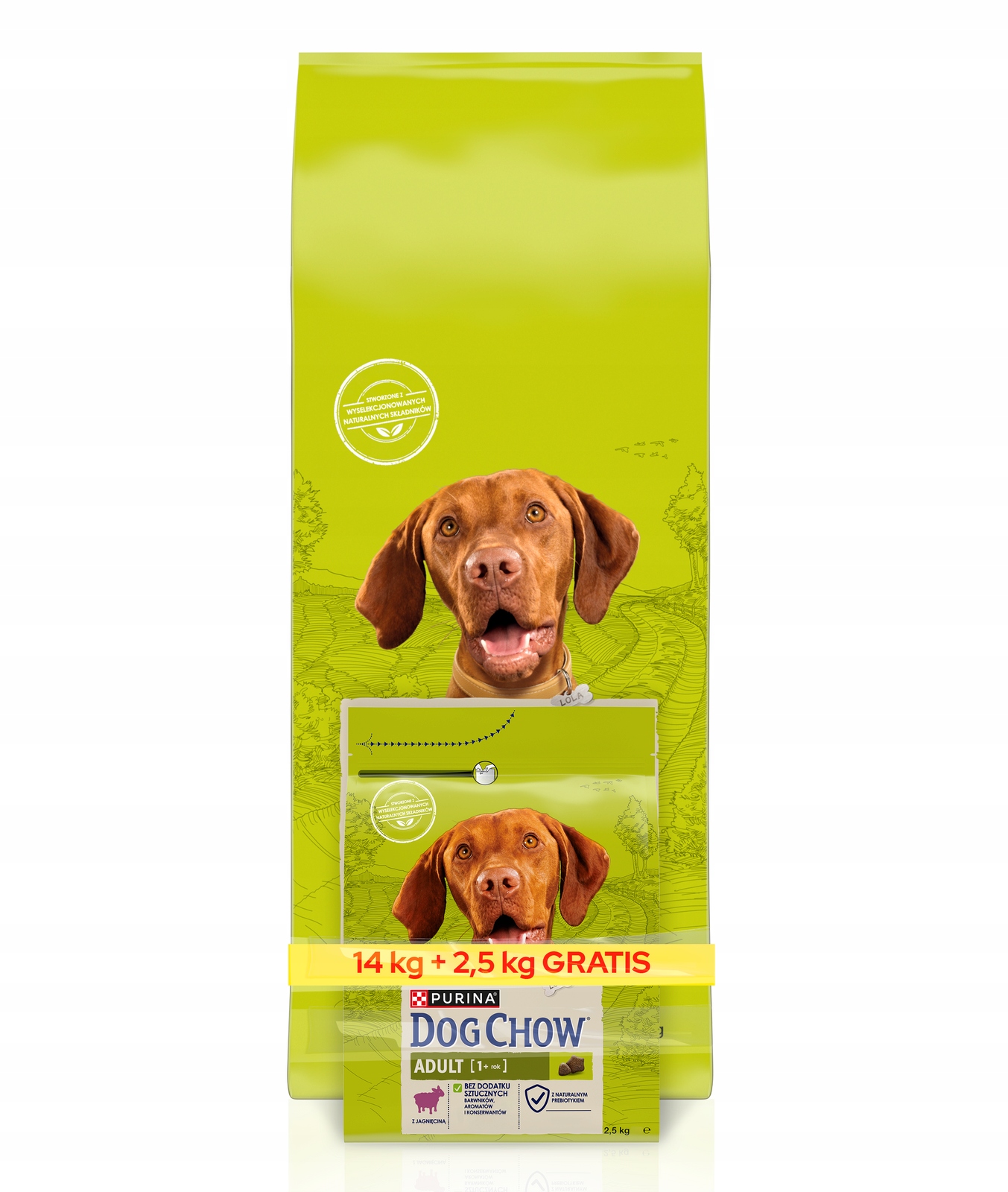 Levně Purina Dog Chow krmivo pro dospělé psy s jehněčím Krmivo 16,5 kg