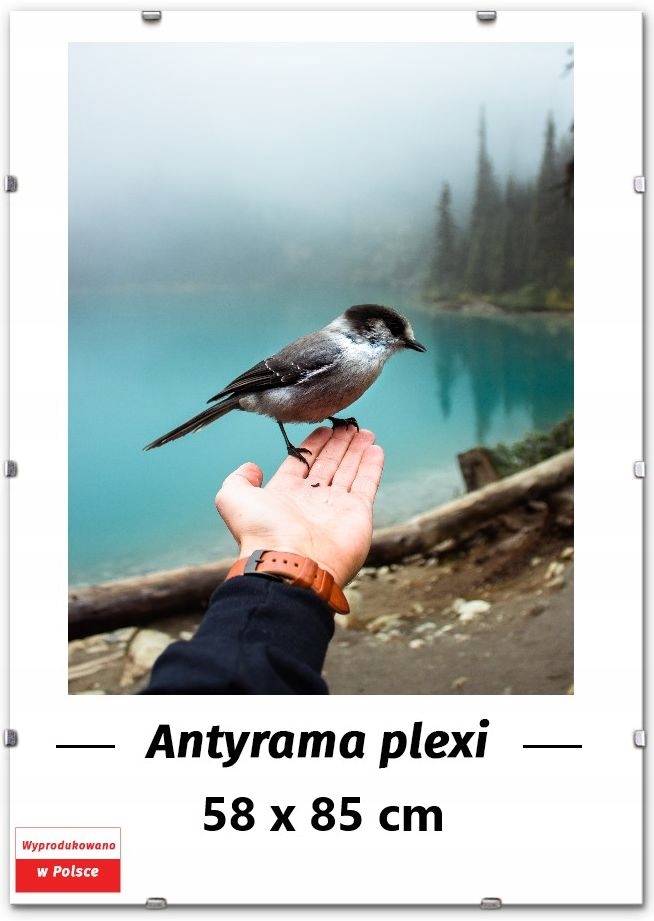 

Antyrama plexi 58x85 cm na plakat