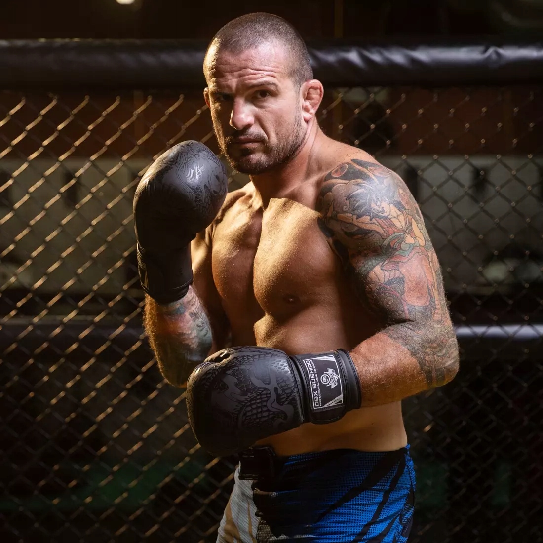 RĘKAWICE BOKSERSKIE SPARINGOWE TRENINGOWE BOKS NA WOREK DBX BUSHIDO 12 oz Stan opakowania oryginalne