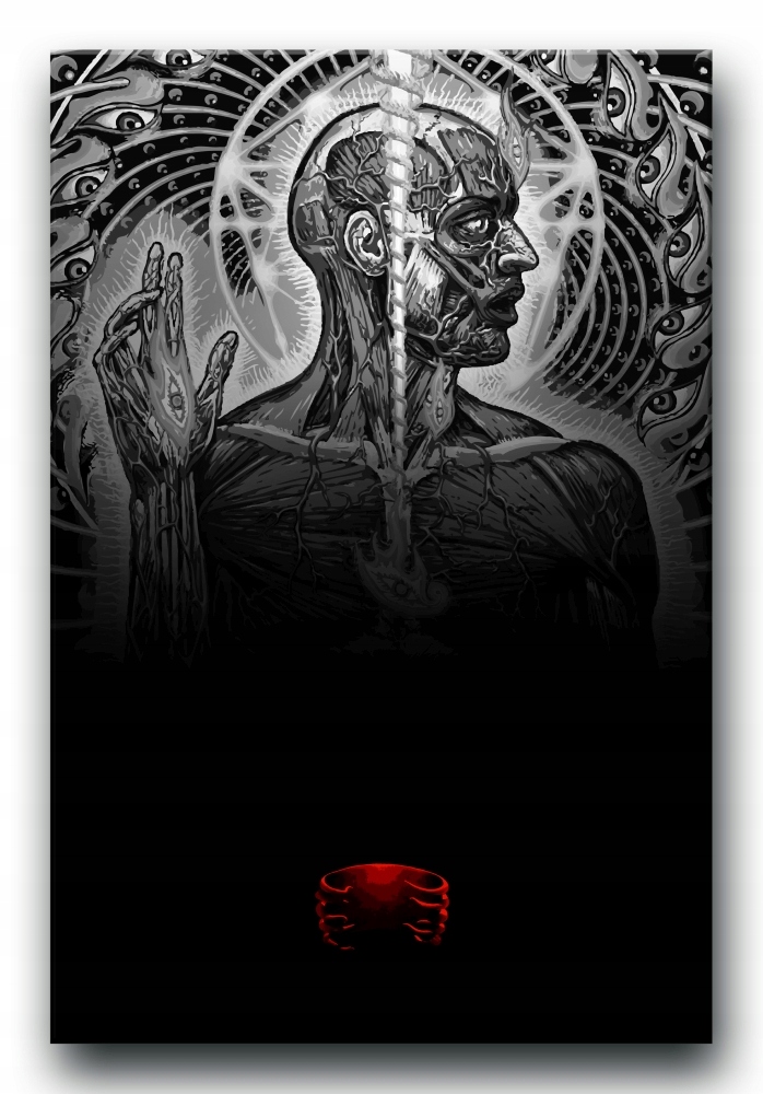 Tool - OBRAZ na płótnie 60x40 cm plakat