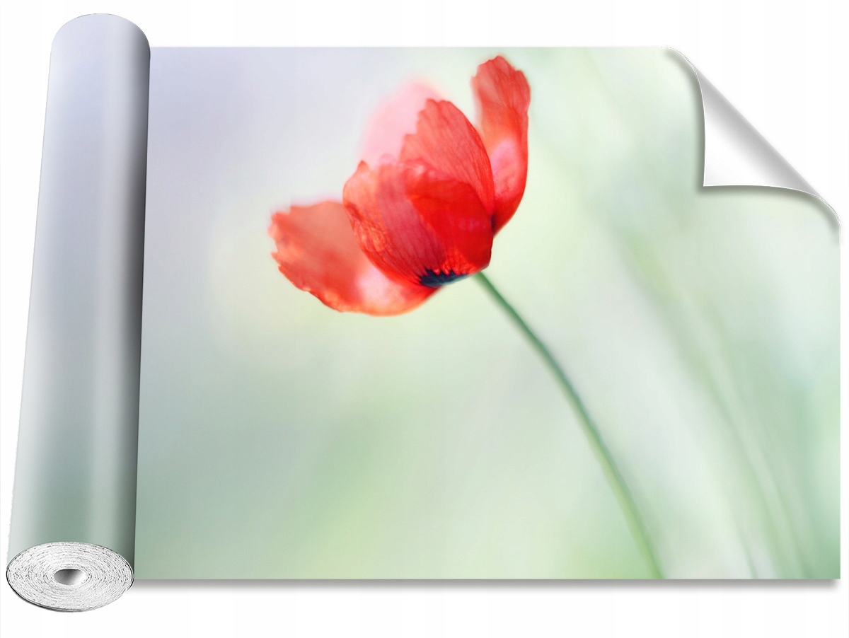 

Tapeta Samoprzylepna Mak Czerwony 208x146