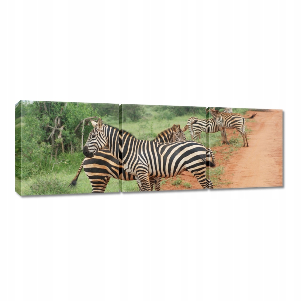

Obrazy 60x20 Zebra na sawannie