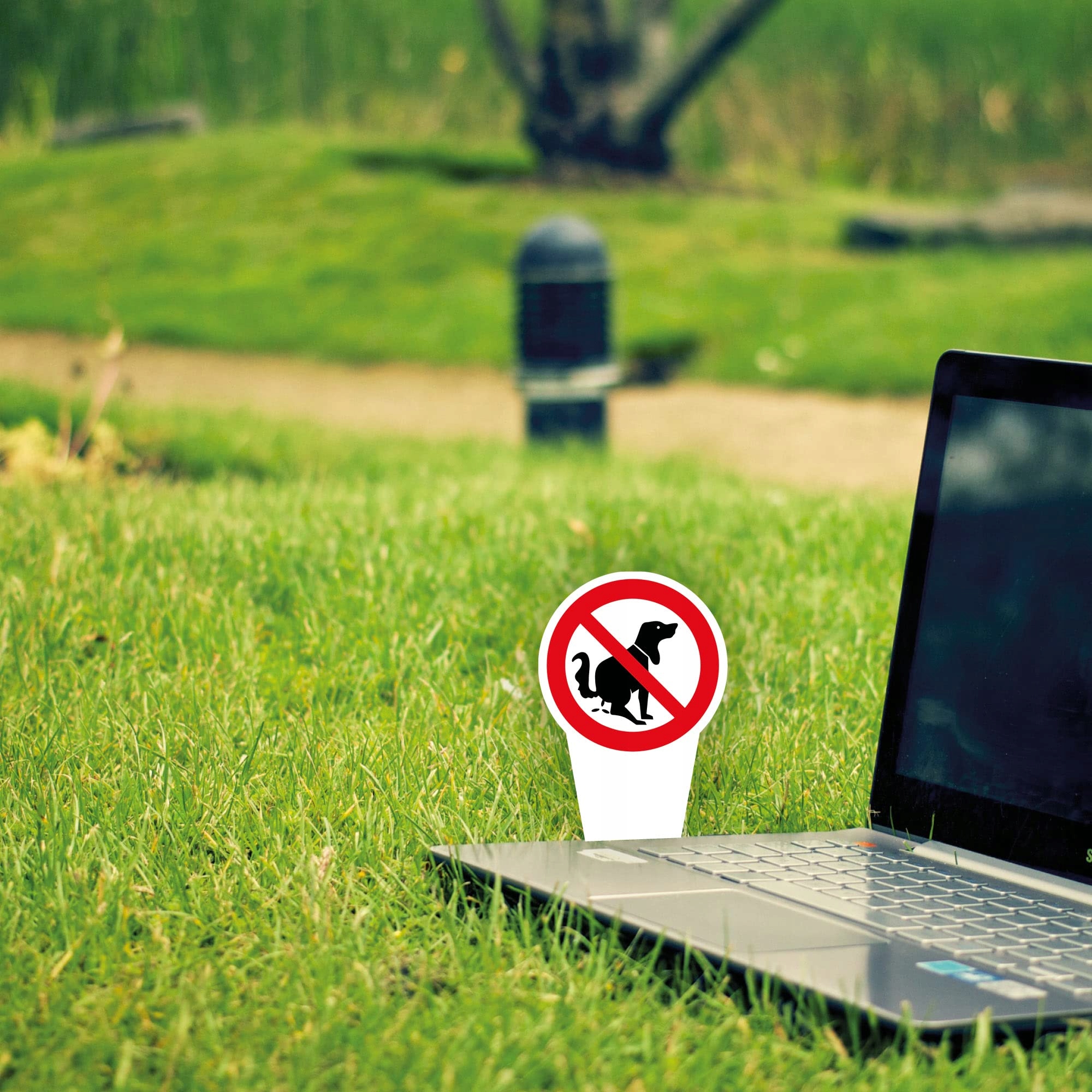 3 sztuki wysokiej jakości tabliczki Xxl bez Liczba elementów w zestawie 3