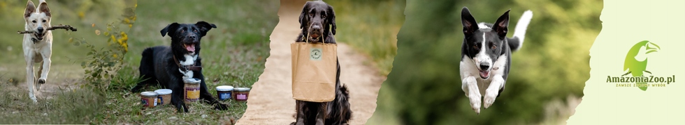 Zestaw karm mokrych dla psa 6×200 g dla alergika, lekkostrawna