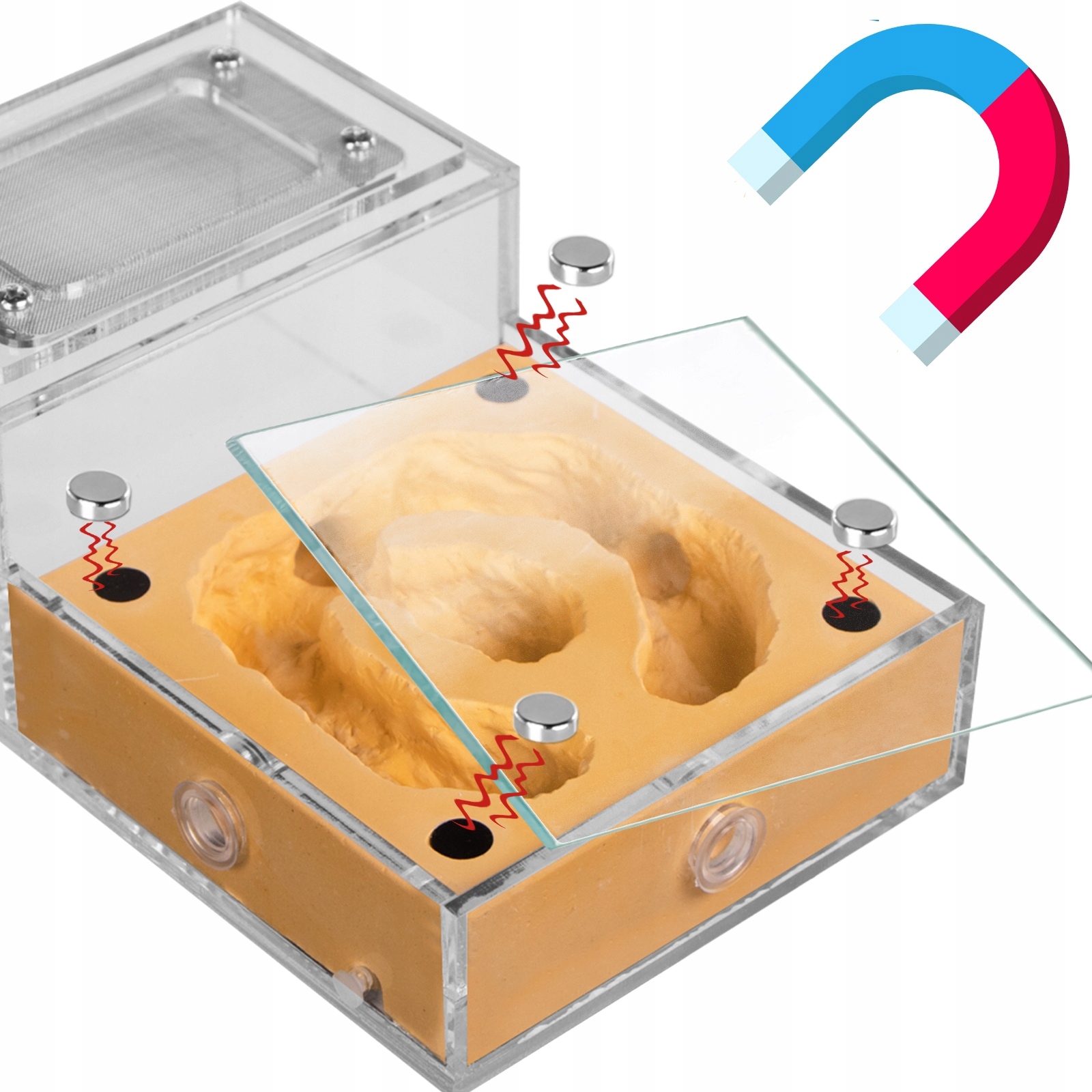 Levně Akrylové Terárium, Skvělá Aréna Pro Mravence S Keramickou Vložkou