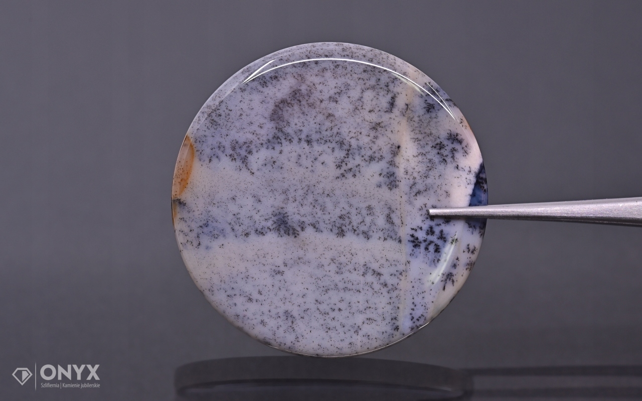 Dendritový achát z Kazachstánu konvexní mělký kruh