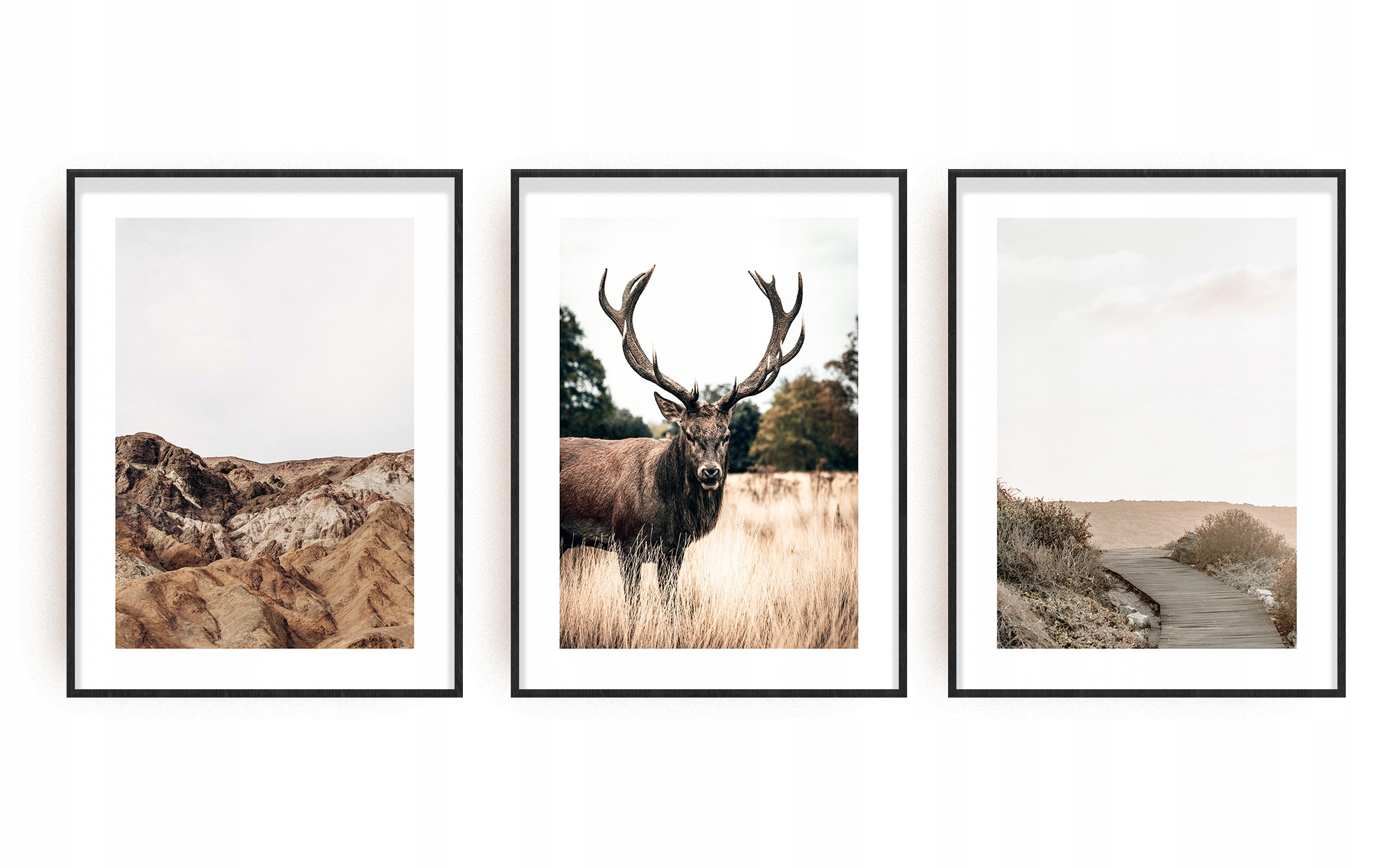 

Obraz Plakaty 3 szt Tryptyk Jeleń A3 30x40 cm