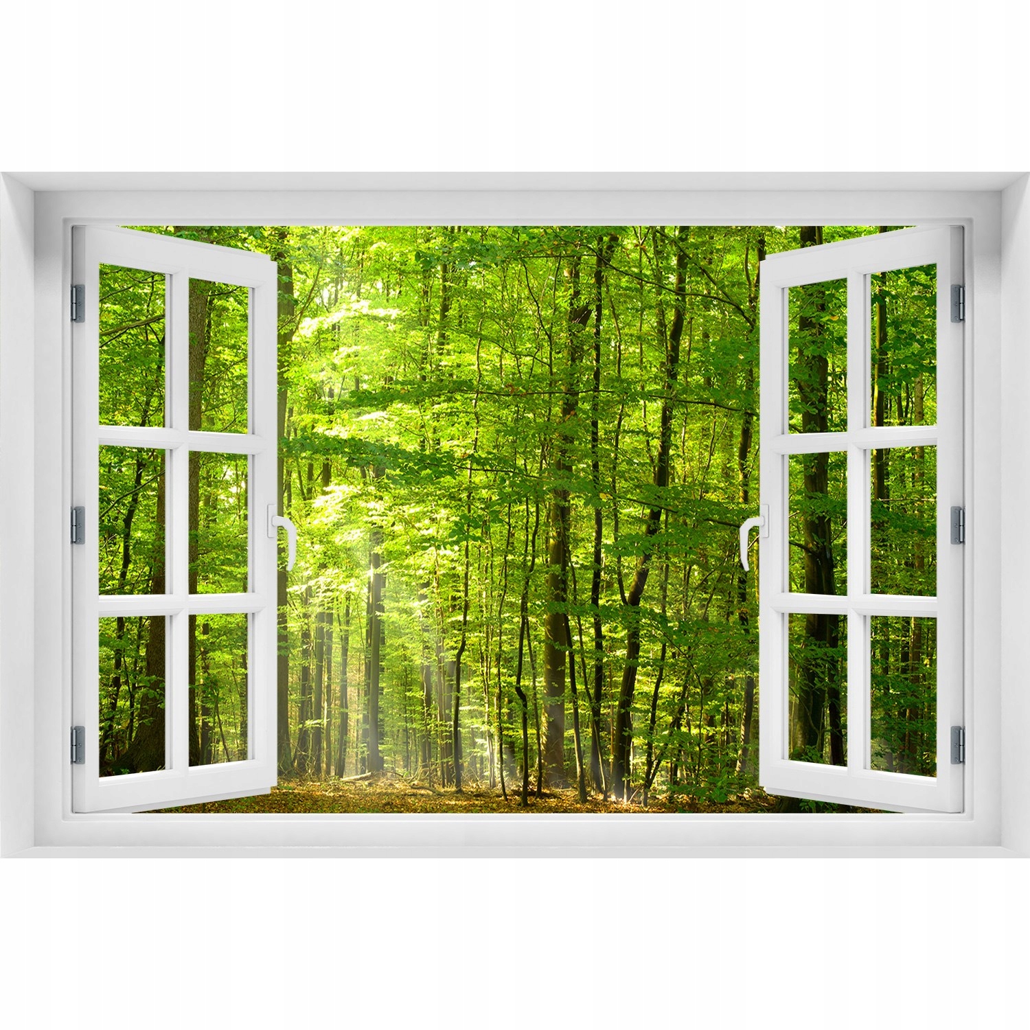 

Fototapeta Naklejka na ścianę Liściasty las 120x80