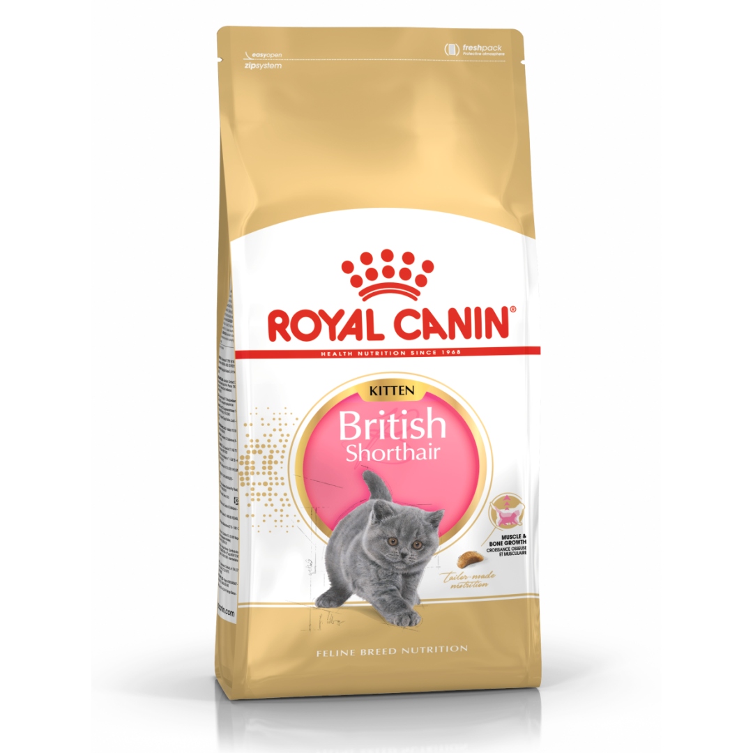 Royal Canin British Shorthair Kitten 2kg Karma Sucha Kociąt Brytyjskich
