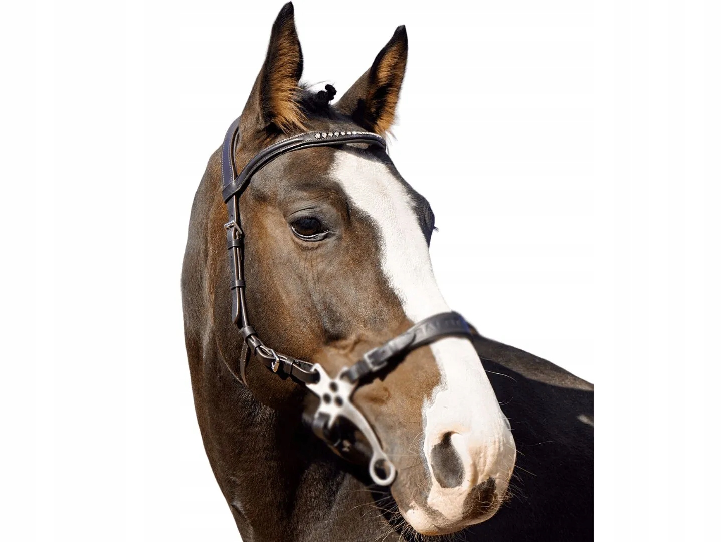 Ogłowie do hackamore Balotade Quick Brązowy Full