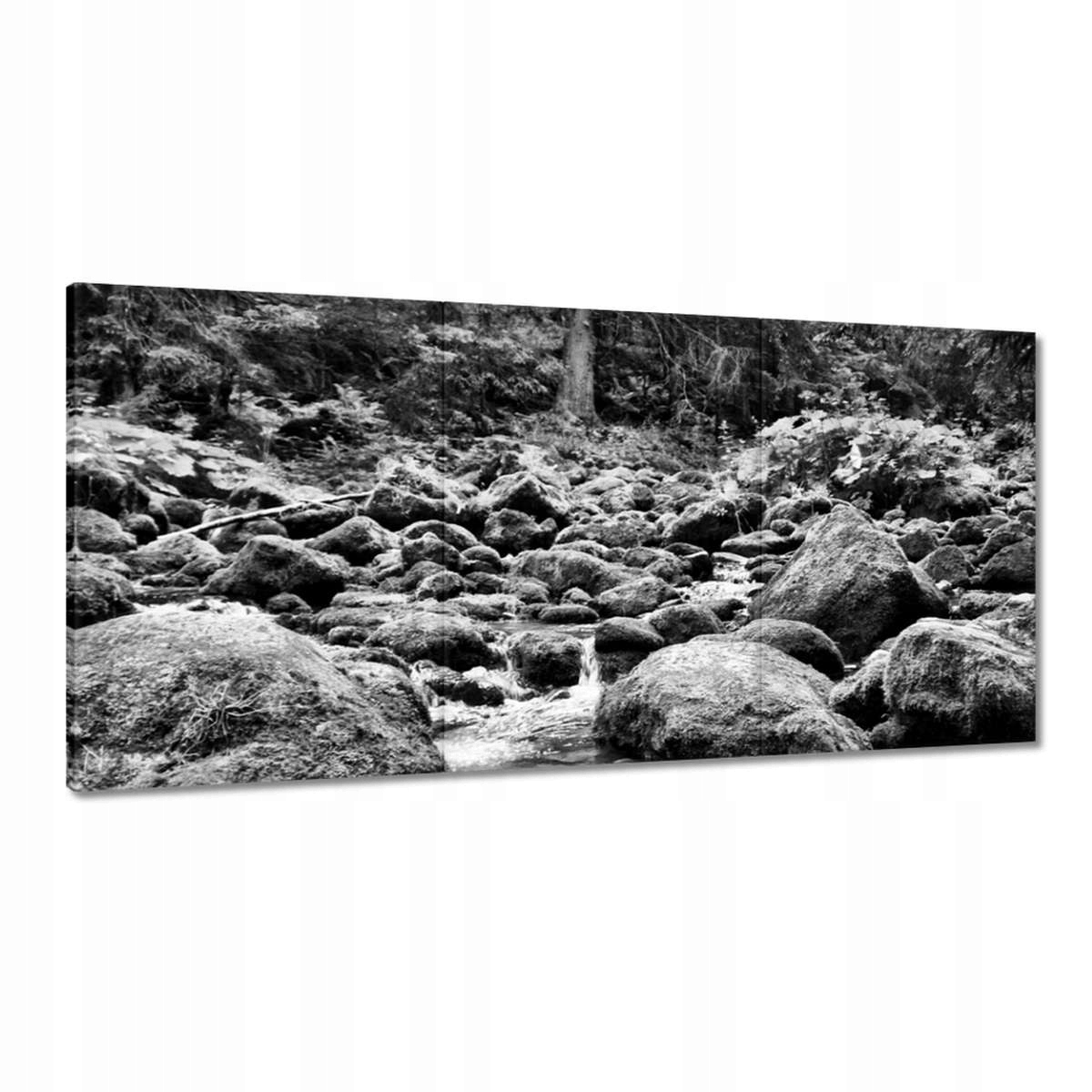 Obrazy 180x90 Tatry Poľské hory Pohľad