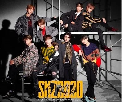 Stray Kids: Skz2020 2CD+DVD