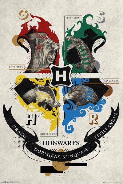 

Harry Potter Hogwart Zwierzęta plakat 61x91,5 cm