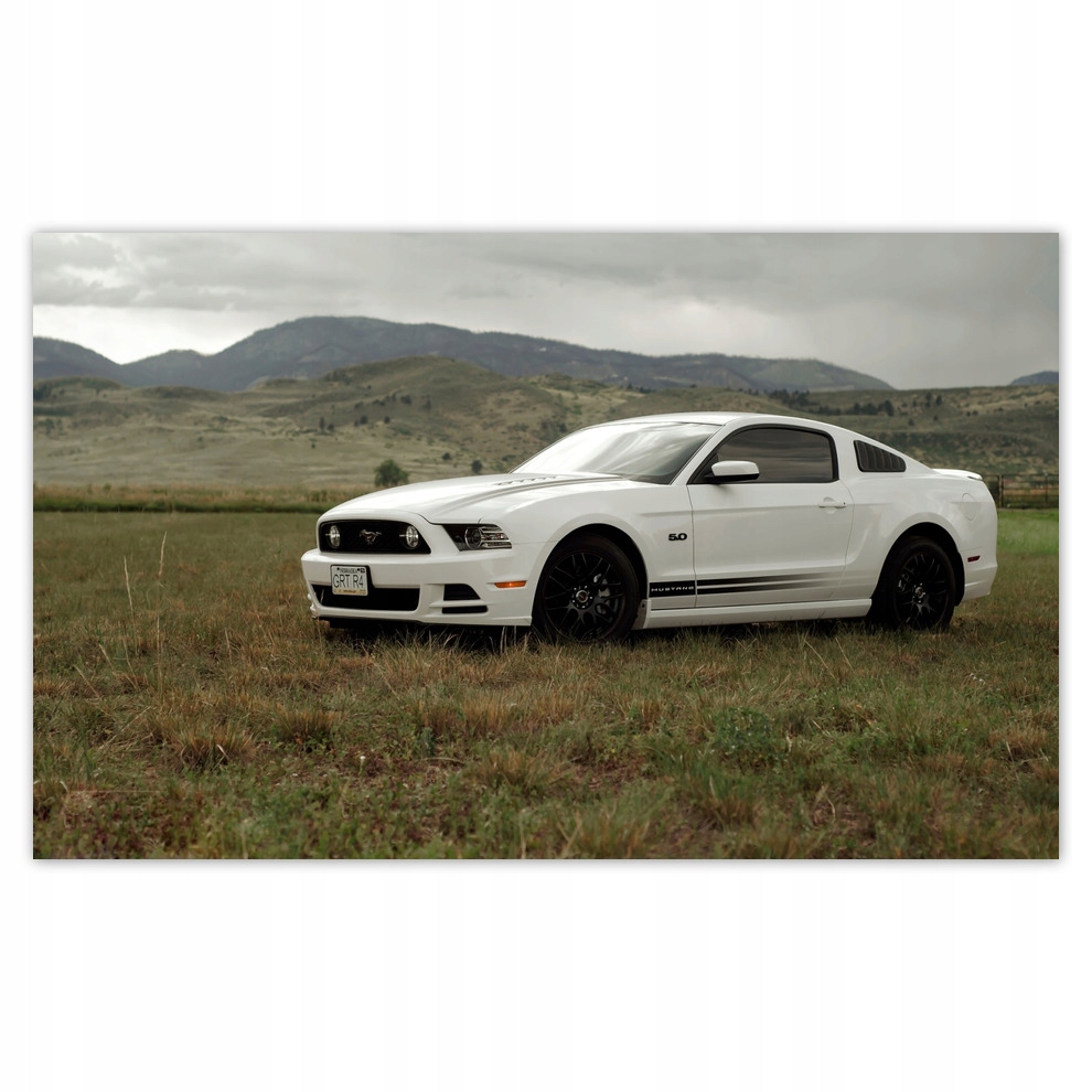 Fototapety vliesové 520x318 Biely Ford Mustang