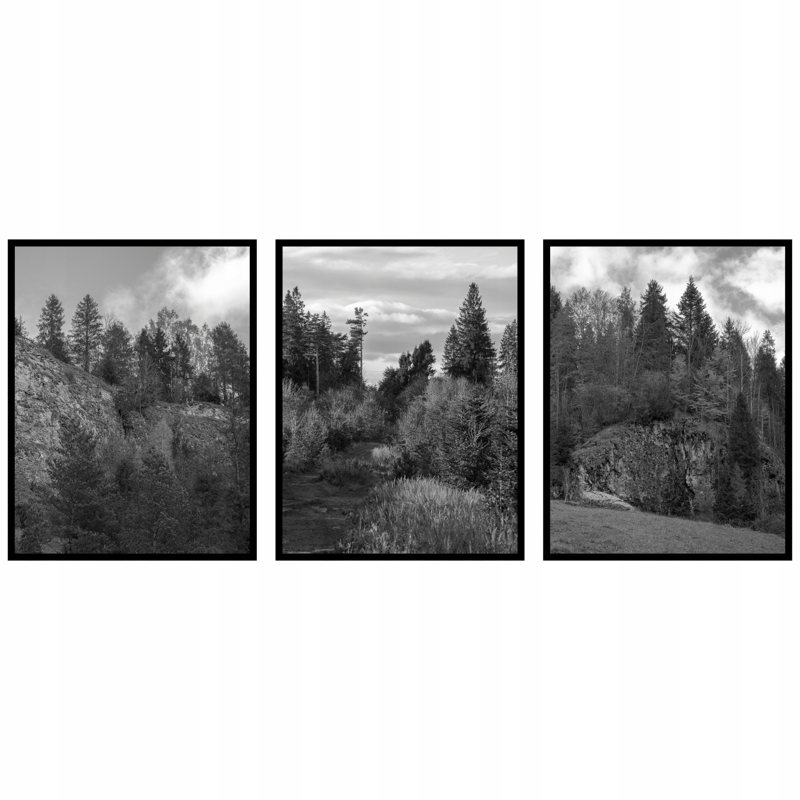 Les Stromy Krajina hory Plakáty 3ks 50x70cm triptych panorama fotografie