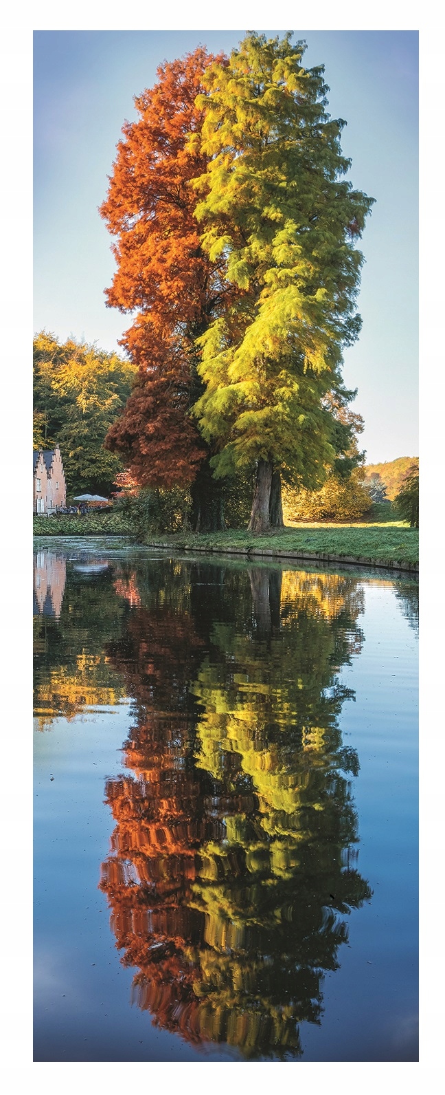 

Obraz szklany Drzewa na szkle Do Salonu 30x80