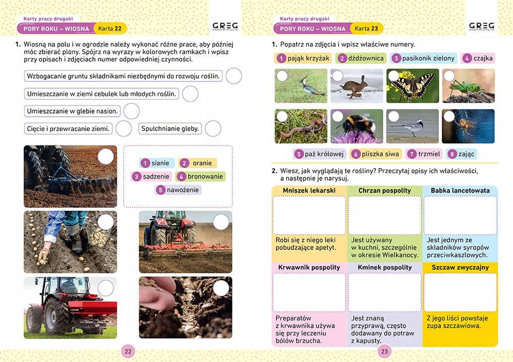 Zestaw kl 1-3 DRUGAKI PIERWSZAKI TRZECIAKI KARTY PRACY, ŚCIĄGA 1-3, DYKTAND Przedmiot Edukacja wczesnoszkolna
