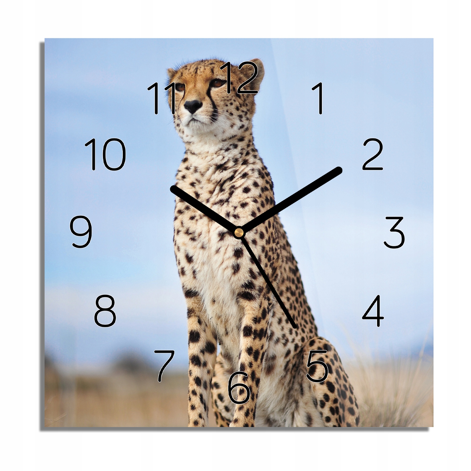 

Gepard natura niebo zegar na szkle kwadrat 30x30