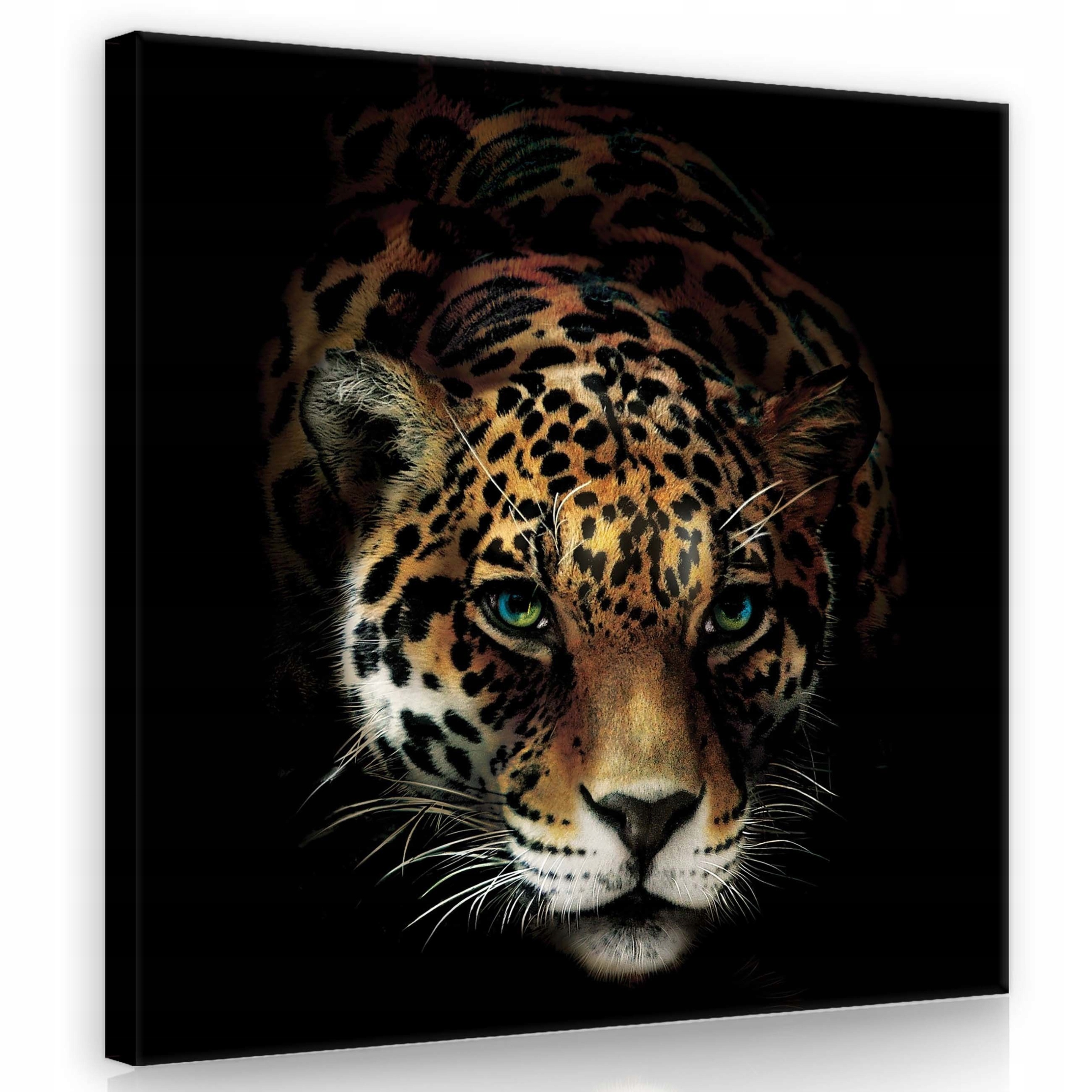 Obraz 80x80 Zelenooký jaguár v loftovém stylu Ideální do moderního interiéru