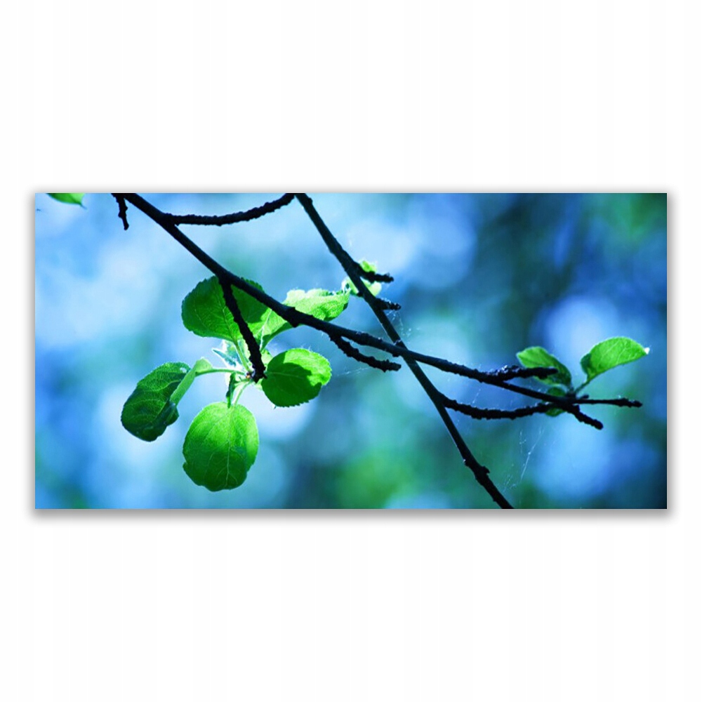 

Obraz na ścianę 120x60 Gałąź Liście Roślina Natura