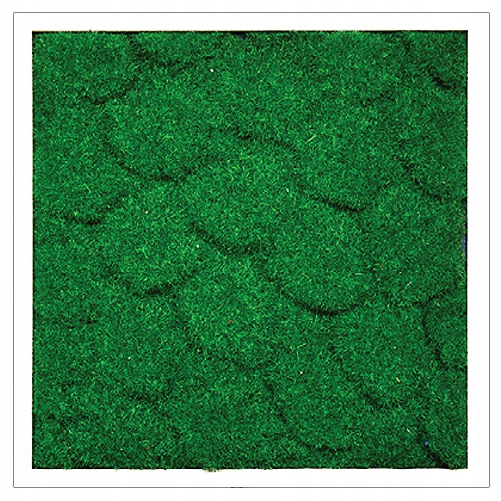 OBRAZ MECH CHROBOTEK 50X50 ZA DROGI? SPRAWDŹ TO Marka GardenPoint