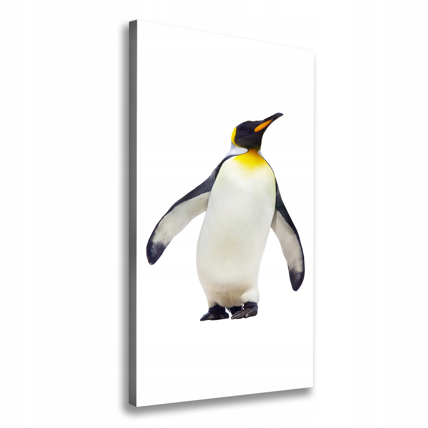 

Nowoczesny obraz canvas na ramie Pingwin 70x140 cm