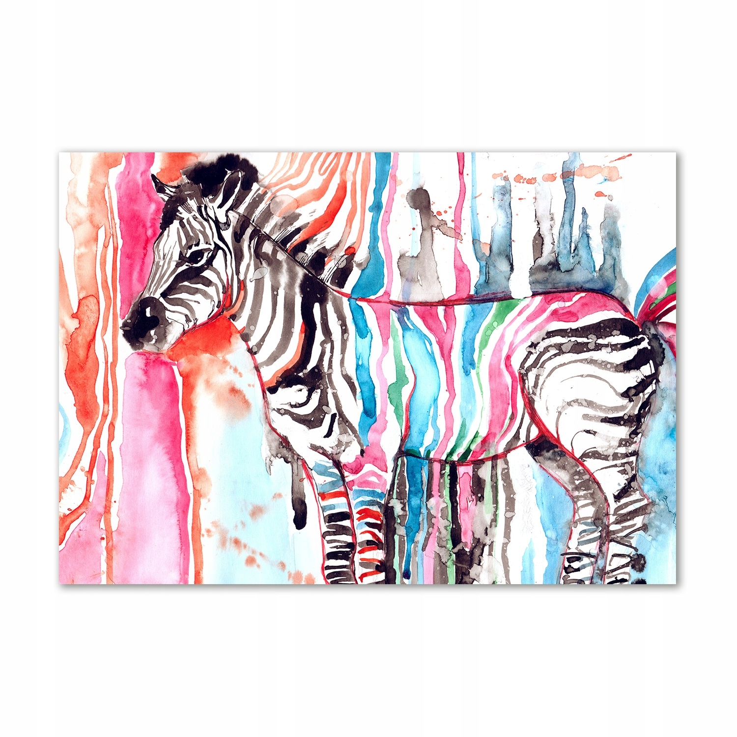 

Obraz zdjęcie szkło akryl Kolorowa zebra 100x70 cm