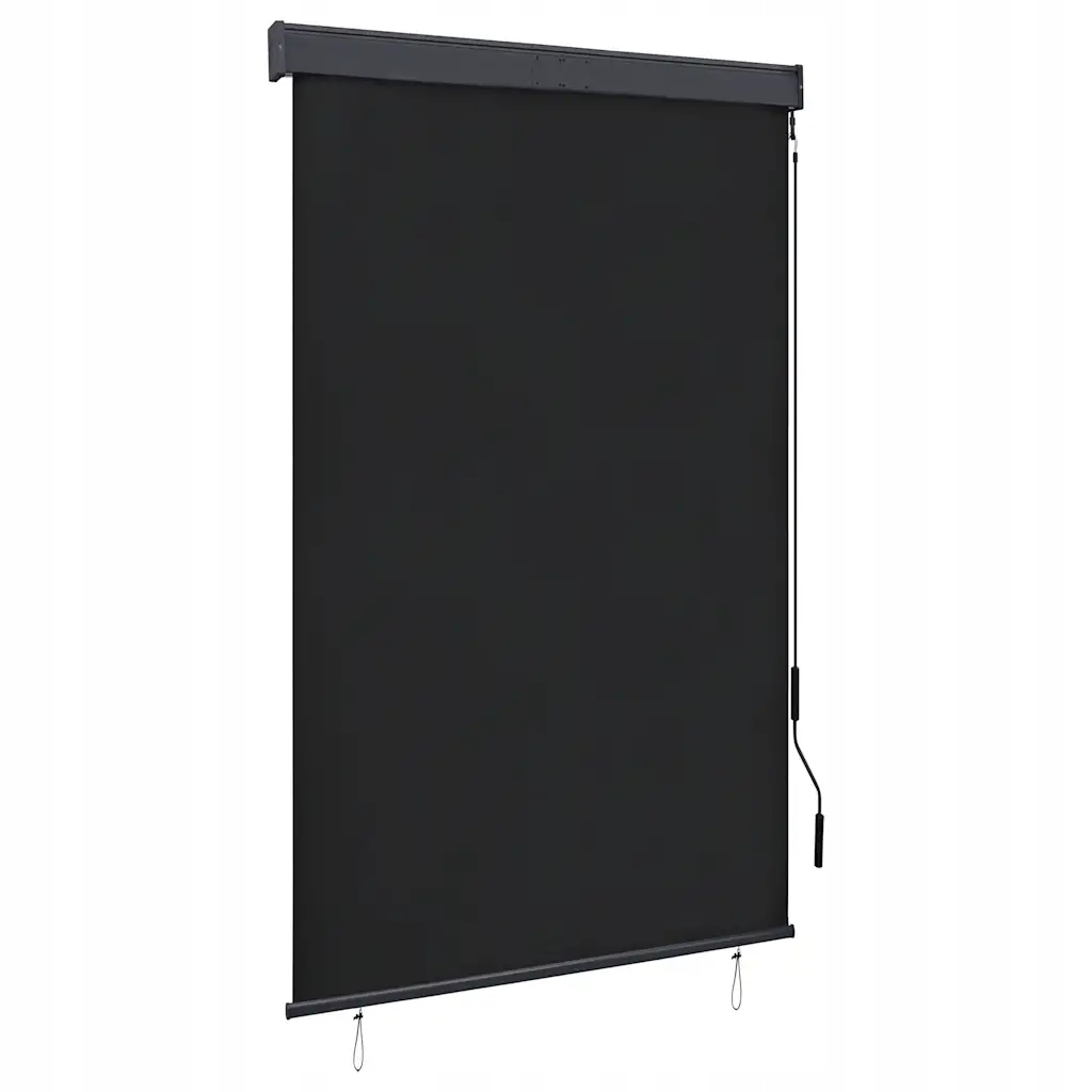 vidaXL Venkovní roleta 120 x 250 cm antracitová