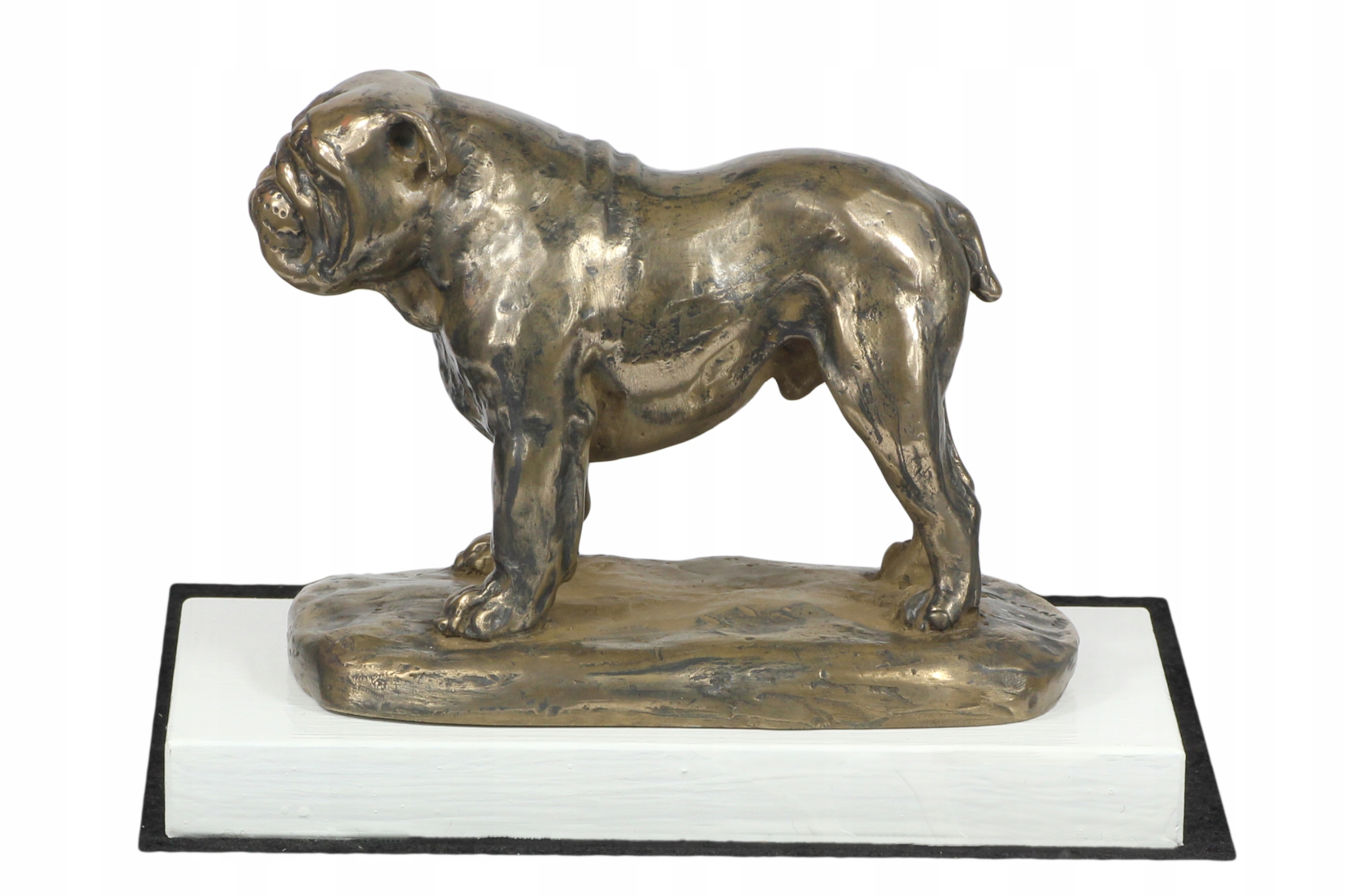 Buldog angielski, Bulldog statuetka psa, figurka na białej podstawie, tro