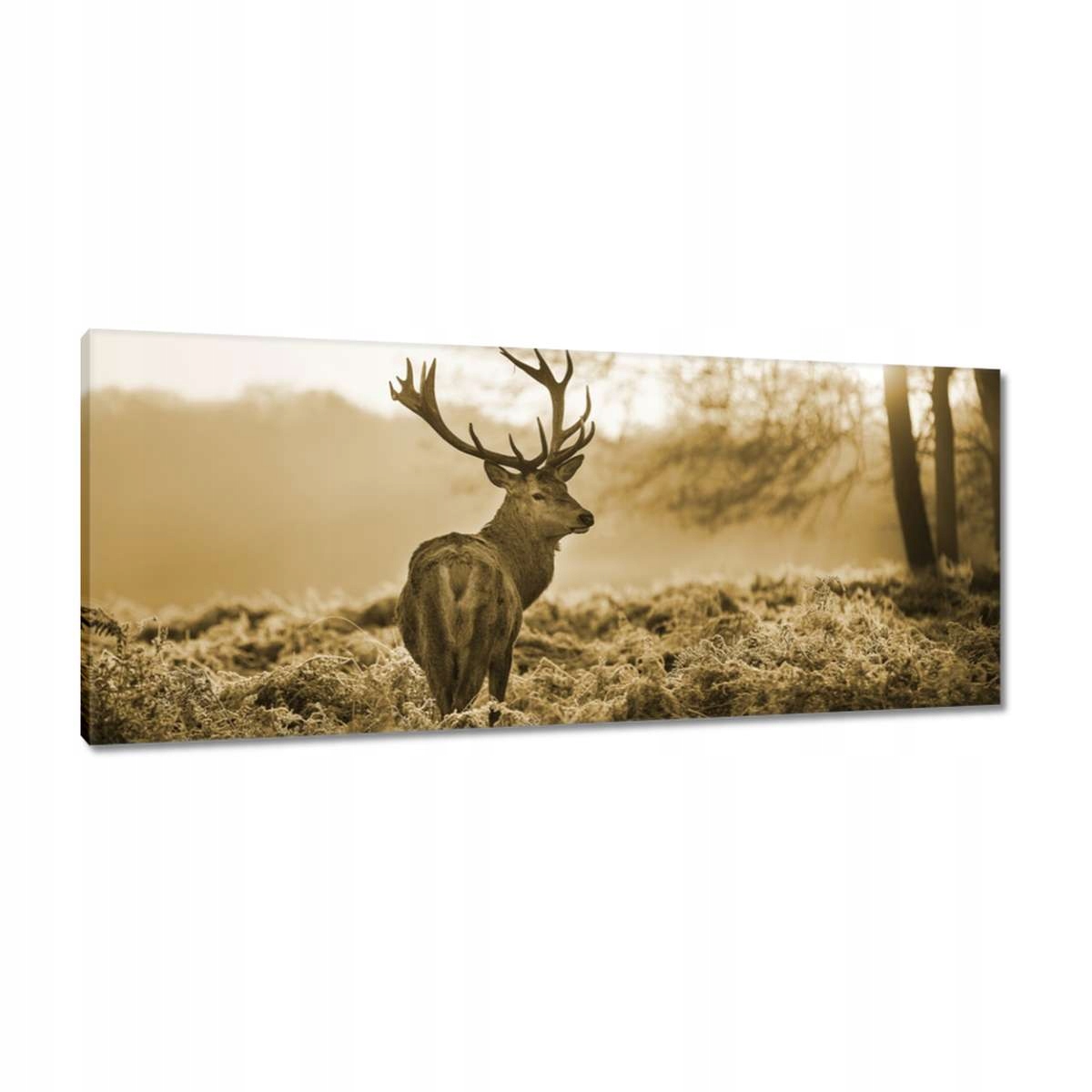 Obrazy 100x40 Jelen v lese