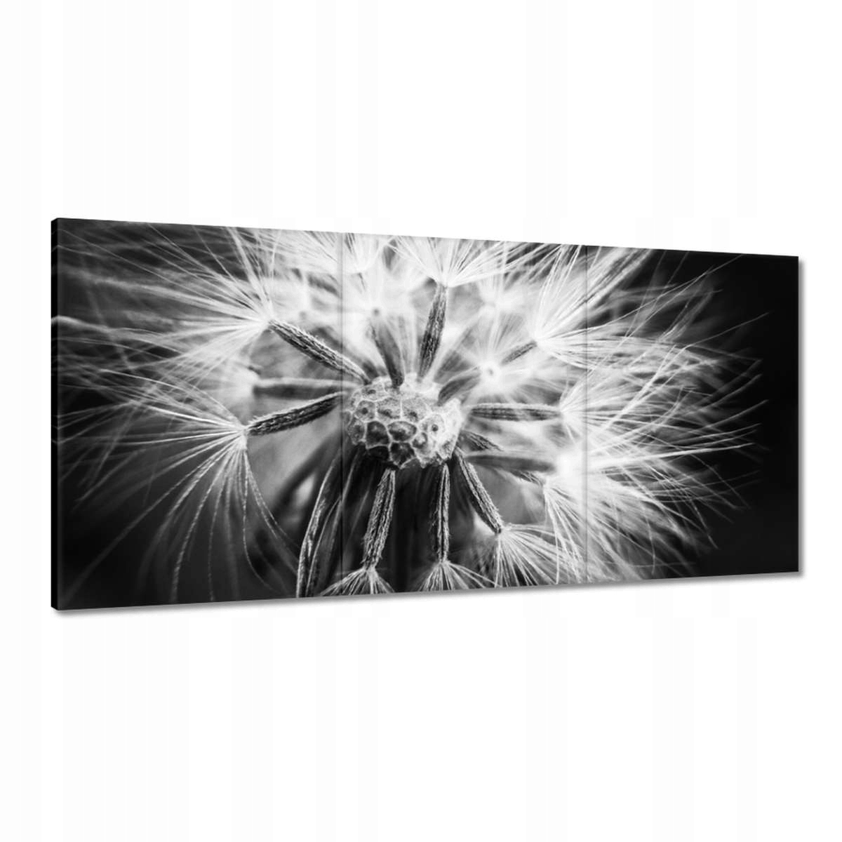 Obrazy 180x90 Púpava Kvet Kvety