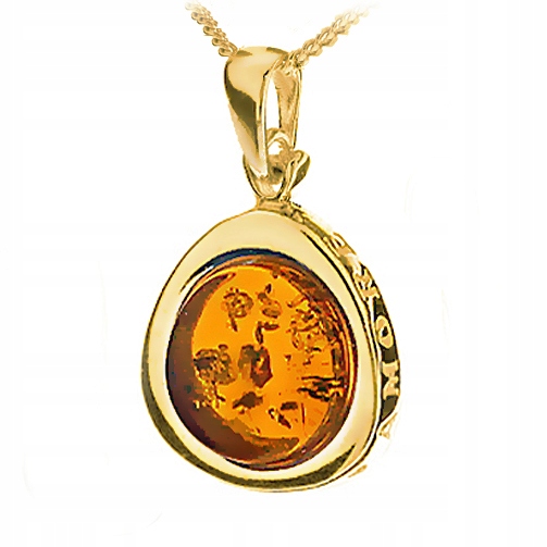 Zlatý Přívěsek love amore Zlacený ze stříbra s přírodním Baltský Jantar