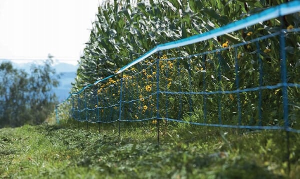 Signalizační páska pro síť Wildnet, modrá 250 m 27240